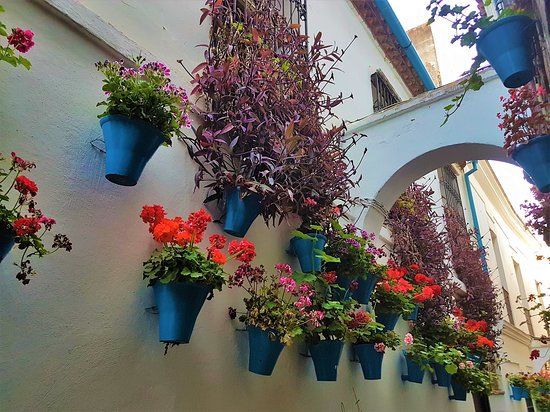 Vicolo dei Fiori